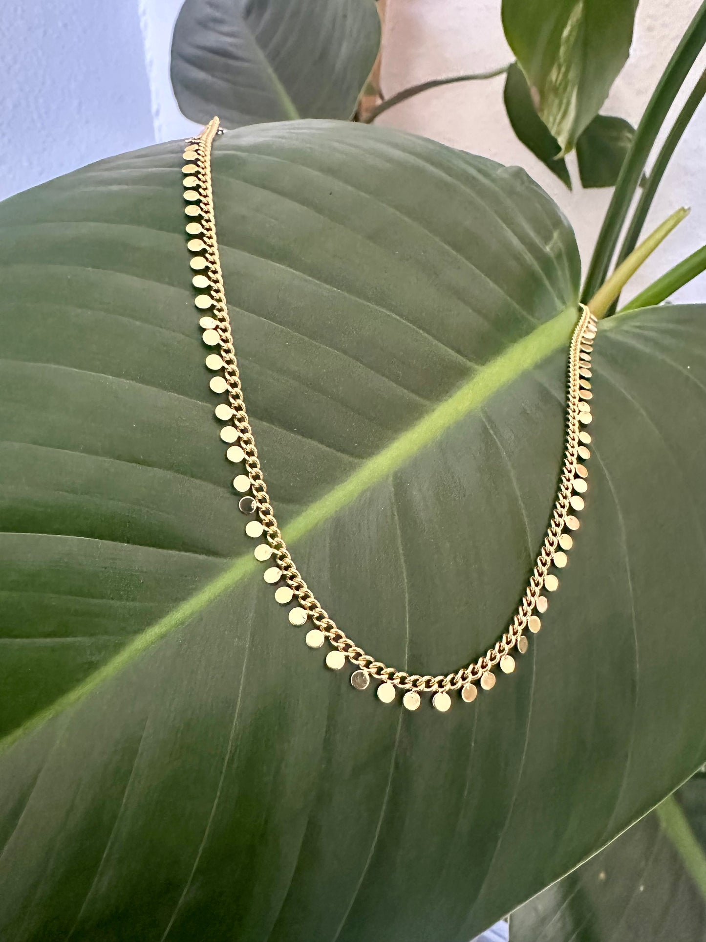 Coin Chain Necklace | Gold Filled Collection by Bella Adornia