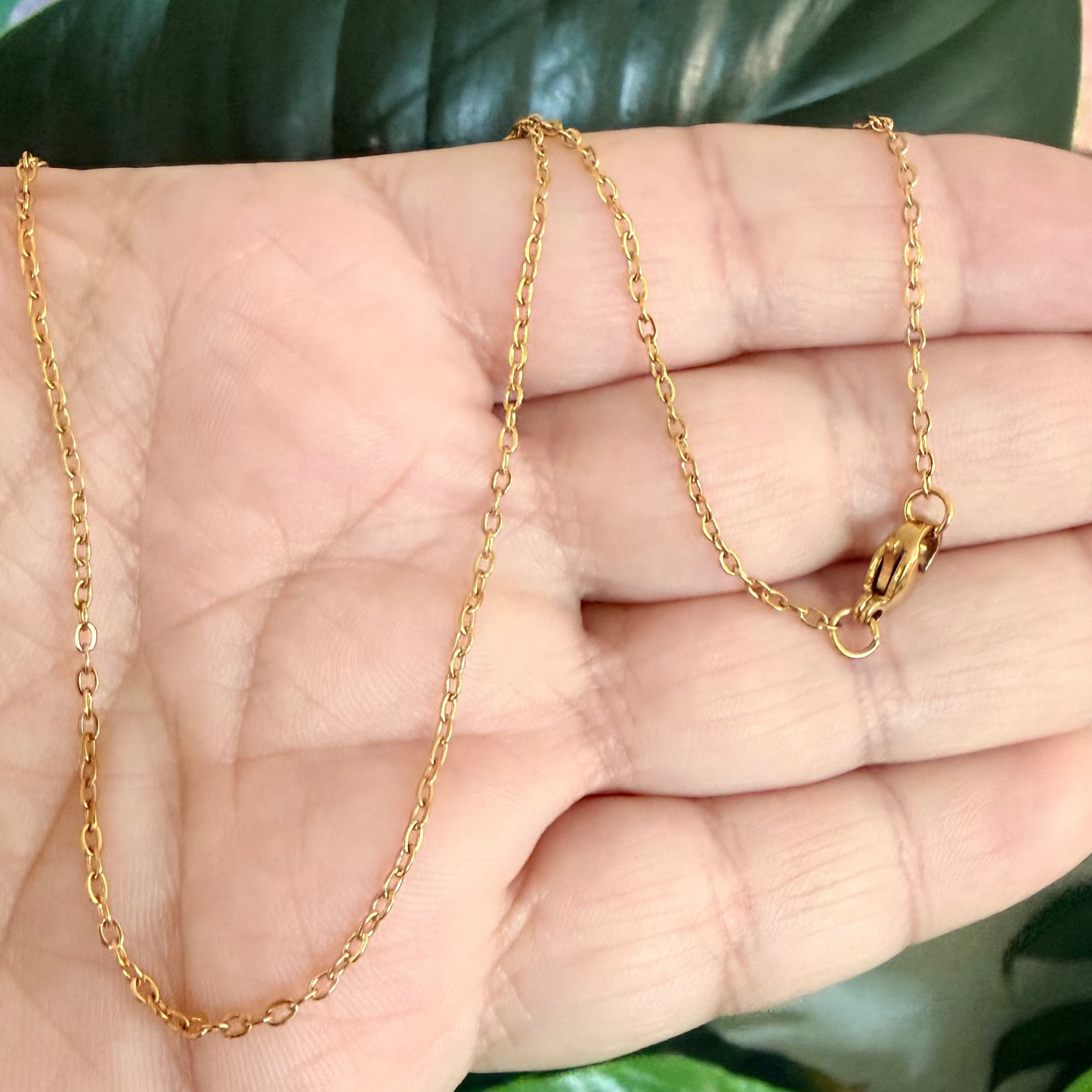Dainty Micro Chain Necklace | Stainless Steel Collection